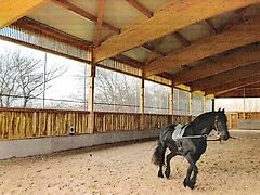 Windschutz Plane für Gebäude, Reithalle 7,6m x 1,6m