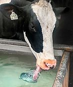 MKN HydroFit Wasseraufbereitung, Wasserentkeimung,Wasserreinigung