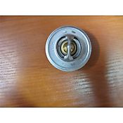 Renault THERMOSTAT RENAULT ARES CELTIS ERGOS 6005022968