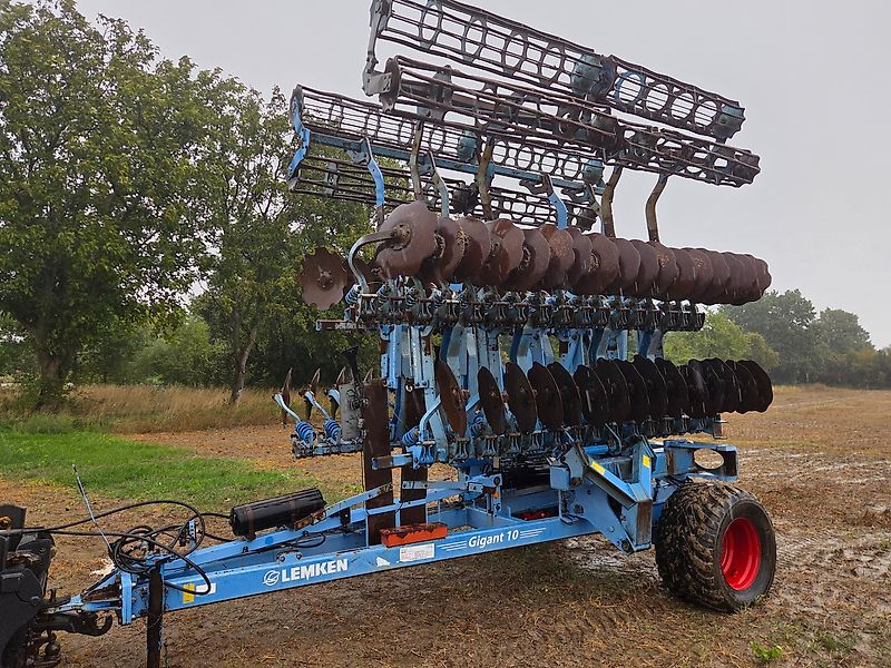Gigant 10Rubin 8