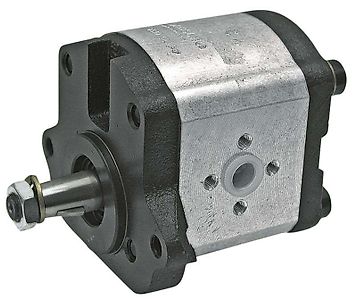 Landini Hydraulikpumpe LANDINI MASSEY FERGUSON 0510525342