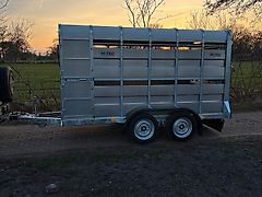 M-Tec Viehwagen Viehanhänger 12x6ft Anhänger 3500kg